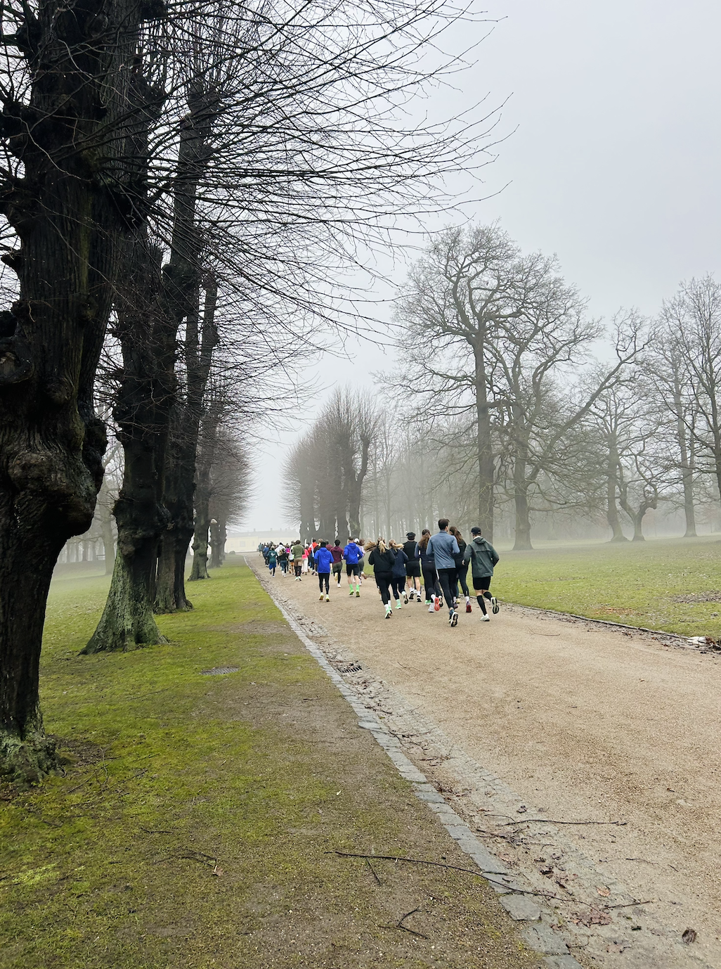 ASICS FrontRunner x Bryggerens Social Run